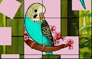Cute Budgie Puzzle